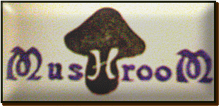 MushrooM Clues